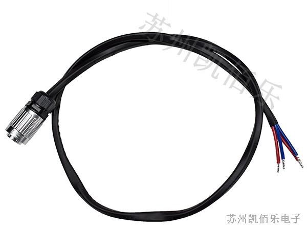 兩輪車(chē)線束